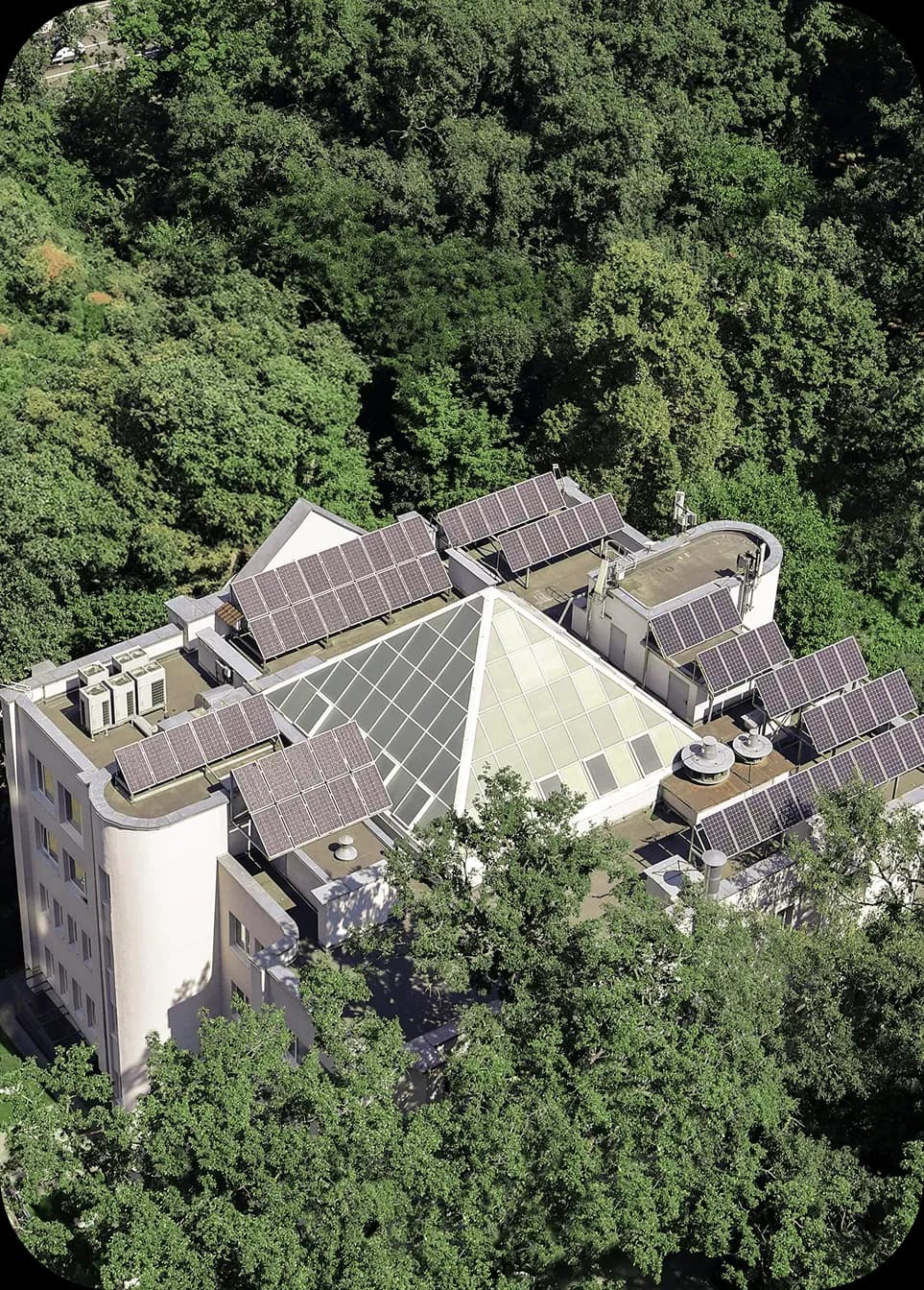 Будівля з сонячними панелями на даху, оточена густими деревами
