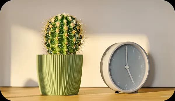 Кімнатний кактус у зеленому горщику стоїть поруч із круглим настільним годинником на дерев’яній поверхні