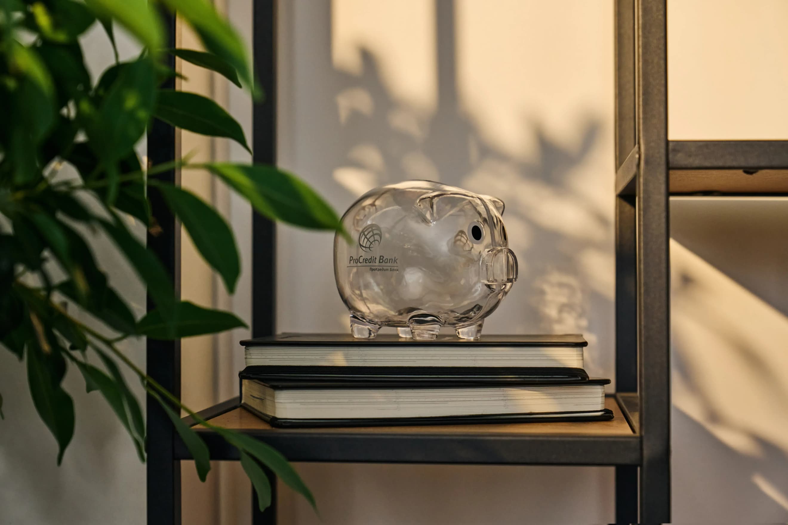 Прозора скарбничка‑свинка стоїть на книжках на полиці поруч із кімнатною рослиною