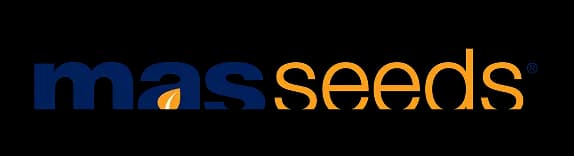Логотип MAS Seeds