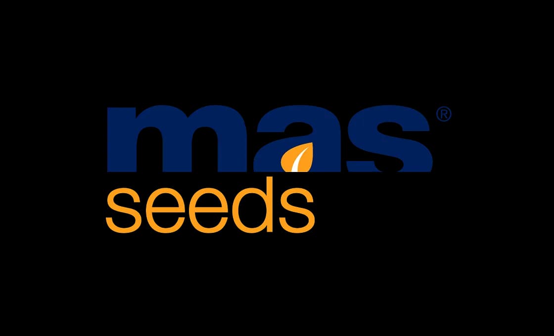 MAS Seeds® – 2 Логотип MAS Seeds